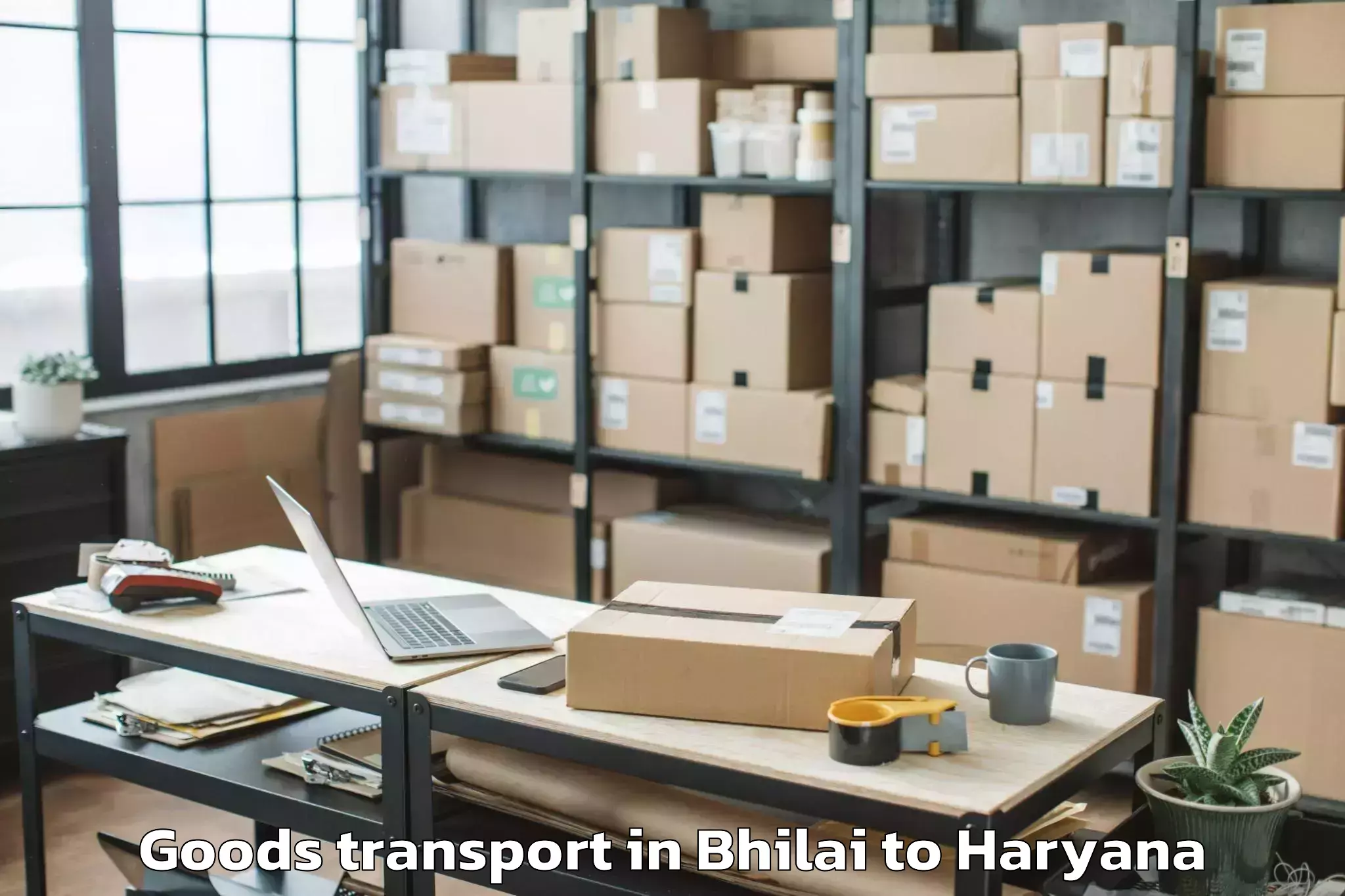 Hassle-Free Bhilai to Gharaunda Goods Transport